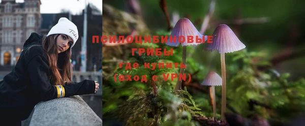 первитин Ладушкин