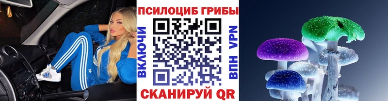 Псилоцибиновые грибы Psilocybine cubensis Тихвин