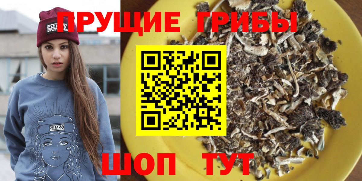 Тихвин  Галлюциногенные грибы Magic Shrooms  хочу наркоту  Вход с VPN 