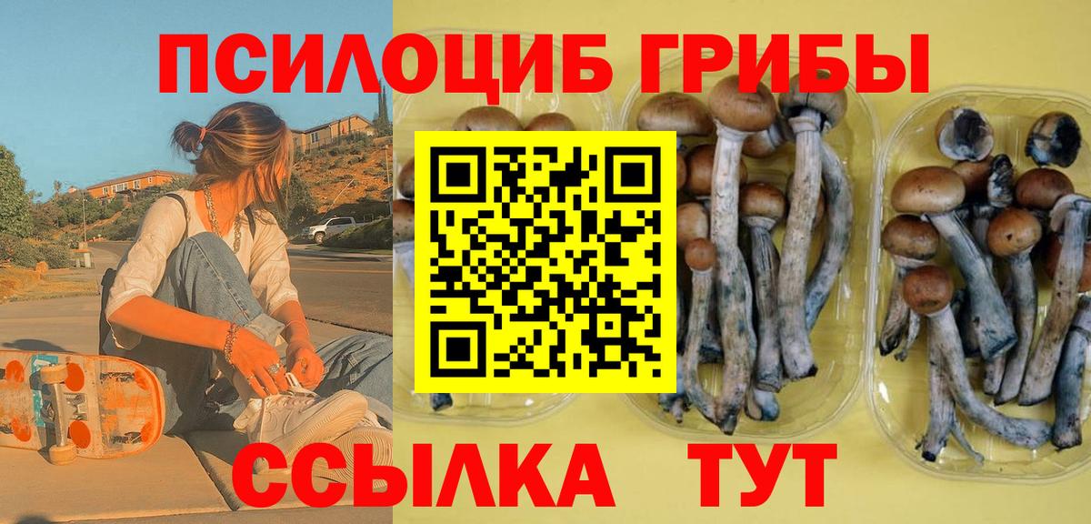 Псилоцибиновые грибы мухоморы Тихвин